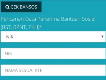 cek penerima pkh